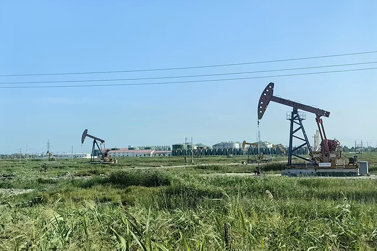 石油化工领域系统解决方案